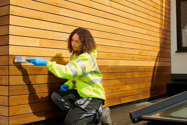 Best Custom Siding Design  in Miami Shores, FL